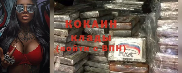 шишки Алексин
