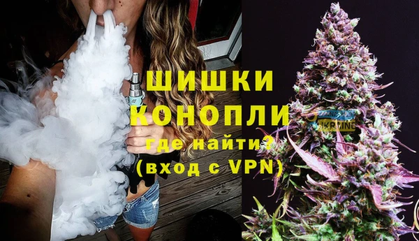 шишки Алексин