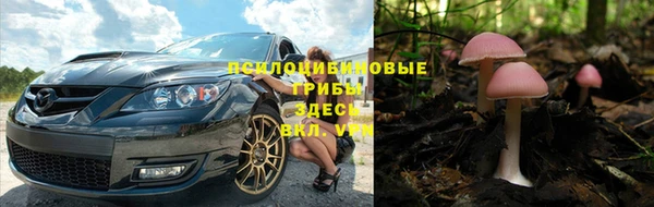 ALPHA PVP Алзамай