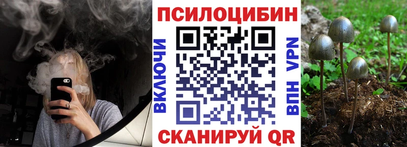 где найти   Нерехта  Галлюциногенные грибы ЛСД 